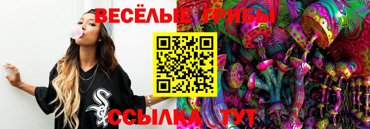Галлюциногенные грибы прущие грибы  Вход с VPN  Похвистнево  Псилоцибиновые грибы MAGIC MUSHROOMS 