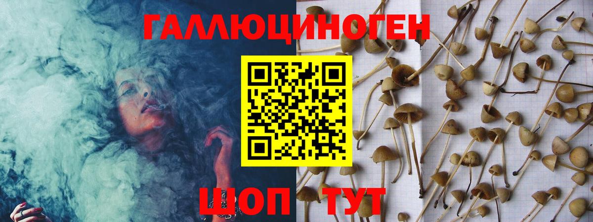 Псилоцибиновые грибы GOLDEN TEACHER Похвистнево